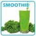 CONCEPT SM-3420 Smoothie mixér 800 W, SMOOTHIE ICE CRUSH PULSE sm3420