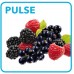 CONCEPT SM-3420 Smoothie mixér 800 W, SMOOTHIE ICE CRUSH PULSE sm3420