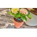 Gardena Micro-Drip-System Kapač koncový regulovatelný, 10ks 13305-20
