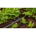 Gardena Micro-Drip-System T-kus pro rozprašovací trysky 13 mm 13206-20