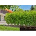 Gardena Micro-Drip-System Kapací hadice 13 mm, 25 M 13503-20
