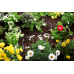 Gardena Micro-Drip-System nadzemní kapací hadice 4,6 mm (3/16"), 15 m 1362-20