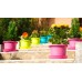 PLASTKON Květináč Campanula 15 cm bílá