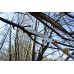 Silky Hayate 5000-6.5 Teleskopická pila KSI037142