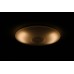 DALEN inteligentní LED stropní osvětlení DL-C406T