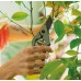 Fiskars Plant Care Zahradní nůžky s pouzdrem, 24cm 1075314