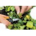 FISKARS Solid SP13 Micro-tip nůžky prostřihávací 1051600