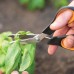 Fiskars Solid SP240 Veggie Nůžky, 26,5cm 1063327