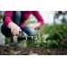 FISKARS Premium Kultivátor malý, 25,5cm (137220) 1000728