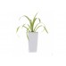 Samozavlažovací květináč G21 Linea mini bílý 14cm 6392470