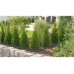 Gardena Micro-Drip-System Startovací sada pro rostliny v řádcích S, 13010-20