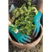 GARDENA startovací sada - display 3085-20