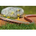 Gardena Comfort FLEX hadice 13 mm (1/2") 10m 18030-20