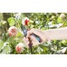 Gardena Comfort B/M Dvoubřité zahradní nůžky, ø 24 mm 8904-20