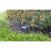 Gardena smart senzor / půdní čidlo vlhkosti půdy, 19040-20