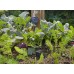 Gardena Smart senzor, zavlažovací počítač, sada 19202-20