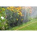 Gardena hadicový zavlažovač, délka 7,5 m, oranžový, 0995-20