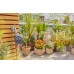 Gardena EasyPlus Zavlažovací počítač 1897-29