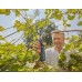 Gardena AssistCut Akumulátorové zahradnické nůžky, ø 25 mm, 12222-20