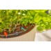 Gardena MDS T-kus 13 mm (1/2") - 4,6 mm (3/16") 5 ks 13204-20