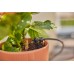 Gardena Micro-Drip-System Startovní Set pro balkony 15 rostlin 13401-20
