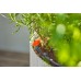 Gardena Micro-Drip-System Startovní Set pro balkony 15 rostlin 13401-20