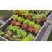 Gardena Micro-Drip-System Startovní Set pro záhon 35 rostlin 13455-20