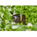 Gardena Micro-Drip-System Startovní Set pro záhon 35 rostlin 13455-20