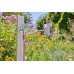 Gardena Basic Hadice 13 mm (1/2"), 20m sada 18970-29