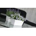 Truhlík s miskou COUBI 24x12x11cm, 2,5l, malina-lesk DUPP240