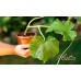 PROSPERPLAST PLASTICA miska pod květináč 9,8cm, terakotová PP09