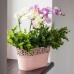 Prosperplast NATURO Truhlík s krajkou 27,5 cm, grafit DNAT275