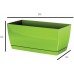 PROSPERPLAST COUBI Truhlík s miskou 29x14,2x13,6cm, malina DUPP300