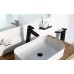 RAVAK 10° BLACK TD 220.20 Držák s dvěma pohárky X07P558