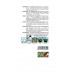 SEMO Ředkvička SMĚS BAREV 3461