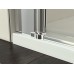 RONAL SL2 Swing-Line dvoukřídlé dveře, 100 cm, elox/durlux SL210000122