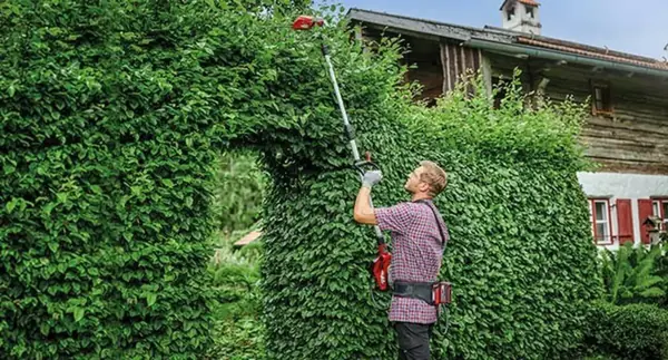 Muž řeže horní část živého plotu prořezávací pilou a má na sobě aku-pás Einhell GE-PB 36/18 Li se třemi akumulátory.